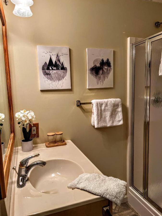 Ole Smoky Bnb - Game Room, Hot Tub, Mtn Views! พิเจนฟอร์จ ภายนอก รูปภาพ