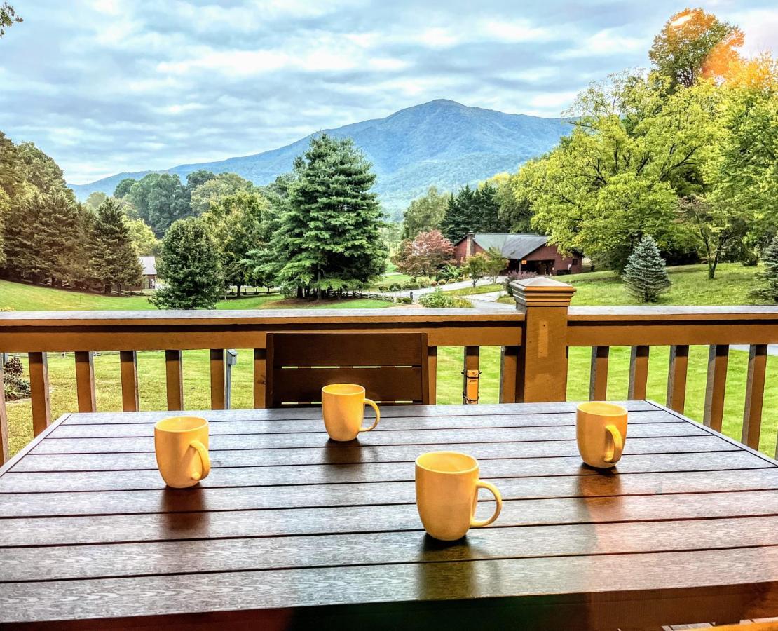 Ole Smoky Bnb - Game Room, Hot Tub, Mtn Views! พิเจนฟอร์จ ภายนอก รูปภาพ